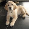 blackiew